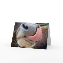 Cows Tongue cards