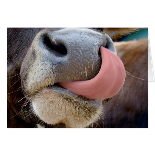 Cows Tongue Greeting Card
