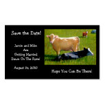 COWS: WEDDOMG:FARM: SAVE DATE CARD BUSINESS CARD