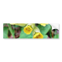 Cowslip Flower bumper stickers