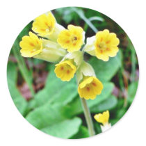 Cowslip Flower stickers