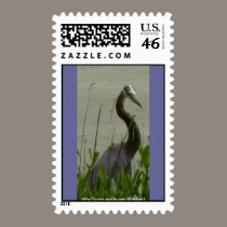 coy blue heron stamps