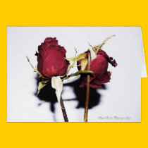 COY cards