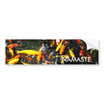 Coy Fish Bumper Stickers
