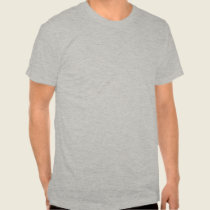 Coy Fish semi fitted gray mens tshirt