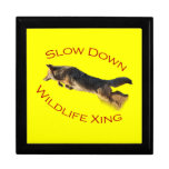 coyote action trinket box