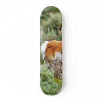 Coyote And Antelope In Yellowstone Park Skate Deck