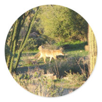 Coyote_at_dawn Sticker