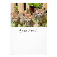 Coyote Babies Photo Custom Invitation