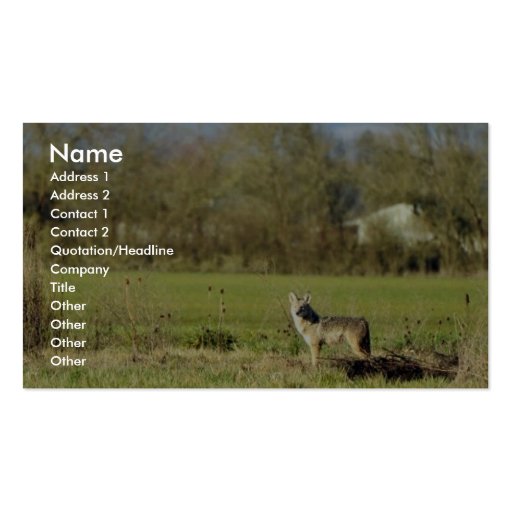 Coyote Business Card (front side)