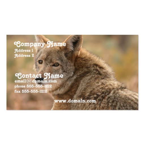 Coyote Business Card