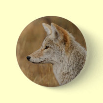 coyote buttons