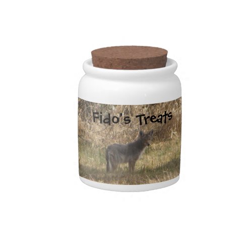 Coyote candyjar