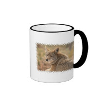 Coyote Ceramic Coffee Mug