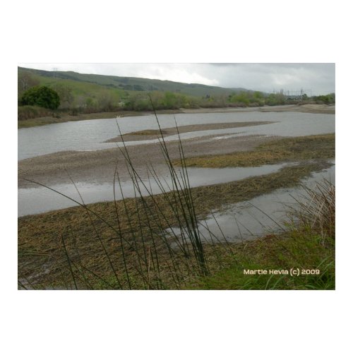 Coyote Creek Rainy Day print