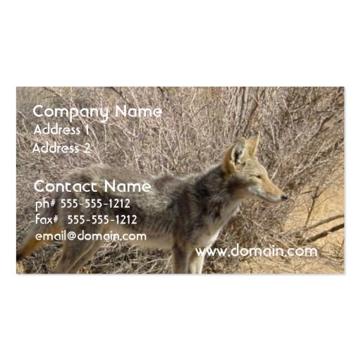 Coyote Design Business Card (front side)