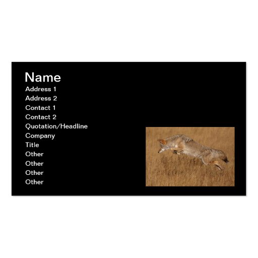 Coyote Flying Business Card (front side)