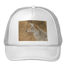 coyote hat