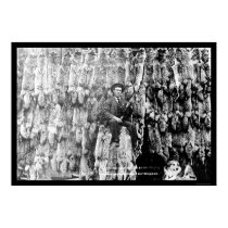 Coyote Hunter Amid Over 60 Pelts 1913 posters