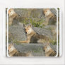 Coyote Images Mouse Pad