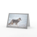 Coyote in Snow cards
