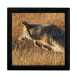 coyote jumping keepsake boxes