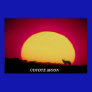 COYOTE MOON POSTER