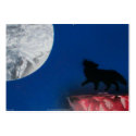 coyote moon small profile cards by BethnBrian coyote moon small profile cards