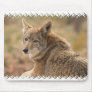 Coyote Mouse Pad