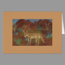 coyote note cards