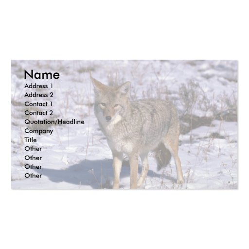 Coyote on snow business card template (front side)