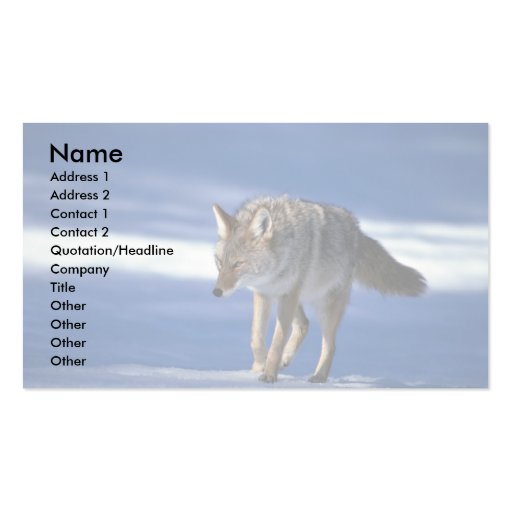 Coyote on snow business cards