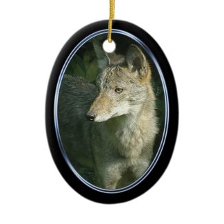 Coyote oval ornament ornament