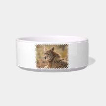 Coyote Pet Bowl Cat Bowl