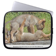 Coyote Pups Biting and Playing Computer Sleeves