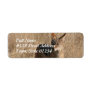 Coyote Return Address Mailing Label