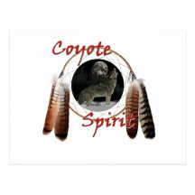 Coyote Spirit Postcards