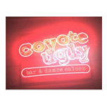 Coyote Ugly Post Card