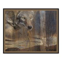 Coyote Wild posters