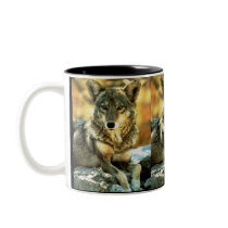 Coyote, Wildlife Lovers Gifts mugs by WildByDezign Coyote, Wildlife Lovers Gifts mugs