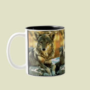 Coyote, Wildlife Lovers Gifts