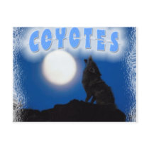 COYOTES - LONER HOWLING AT THE FULL MOON POST CARD