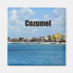 Cozumel Magnets