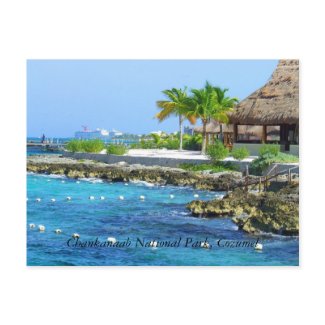 Cozumel Mexico Chankanaab Park Postcard postcard