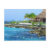 cozumel, chankanaab, tropical, mexico, postcard,