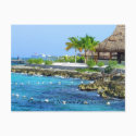 Cozumel Mexico Chankanaab Park Postcard