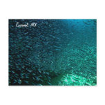 cozumel, mexico, beach, ocean, surf, saltwater