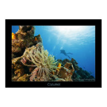 Cozumel Reef posters