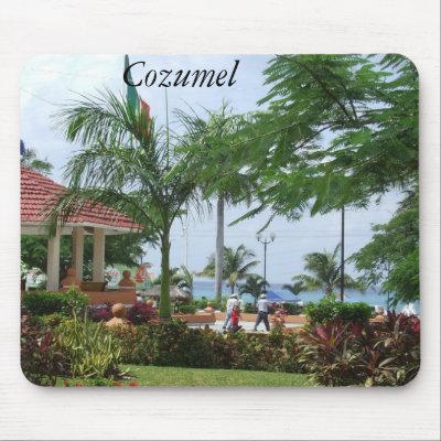 Cozumel Tropical Palm Tree Mousepads by TravelWithPaula