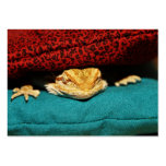 Cozy Bearded Dragon Business Card